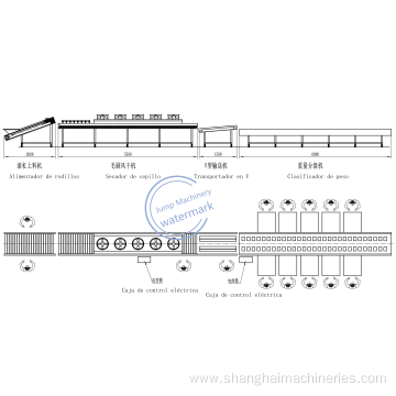 Intelligent Fruit and vegetable Sorting Machine